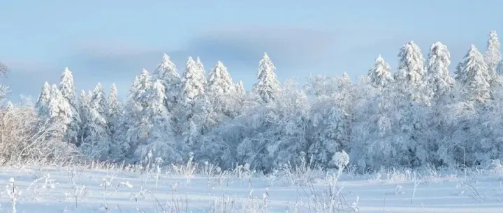 TEMU第四十二弹，运营日常的选品流程化