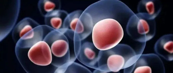 <em>最全</em>：向量中的隐<em>圆</em>问题（word含答案）