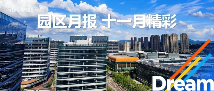 园区月报·11月精彩