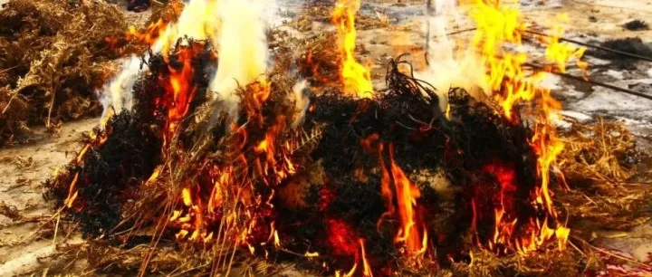 ꆈꌠꈎꏅ——ꆿꇁꍮꒌꆚꐧꆹꈲꒌꆣꌠꋊꃅꋩꑍ 彝<em>历年</em>——庆丰收祈福的节日