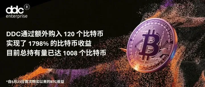DDC比特币储备达1008枚，跻身企业比特币储备排行榜前45名