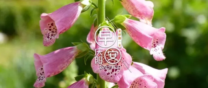 早安<em>庆阳</em>丨<em>庆阳</em>禽肉出口呈爆发式增长