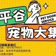 平谷萌宠大集！免费发布宠物信息！