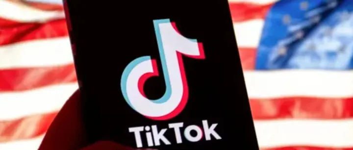 TikTok Shop美国黑五销售额突破5亿美元