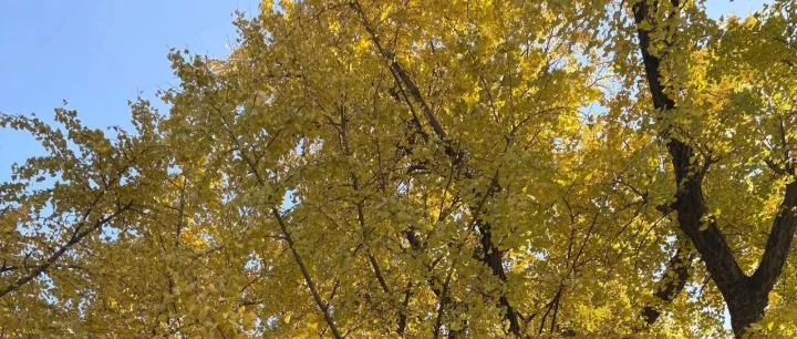 小卖家垂直做品类，深耕赛道还是有机会