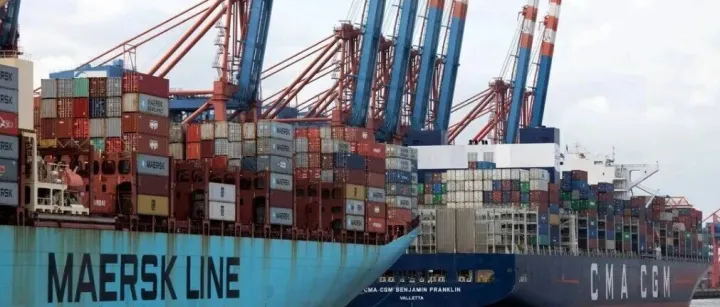 涉嫌操控市场运费！MSC、马士基、达飞、长荣、PIL等八家知名船公司被立案
