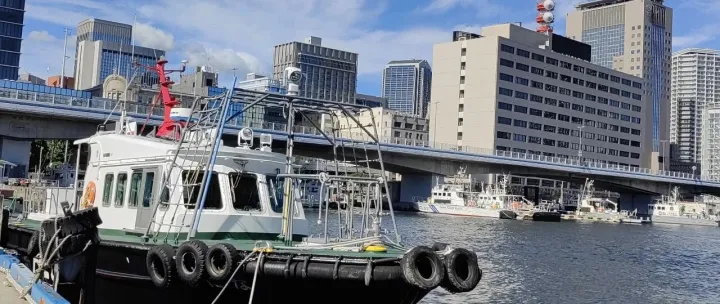 跨境电商|外贸企业出口退税申报错了，怎么办？