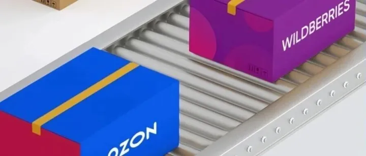 Ozon与Wildberries携手共建跨境电商物流中心