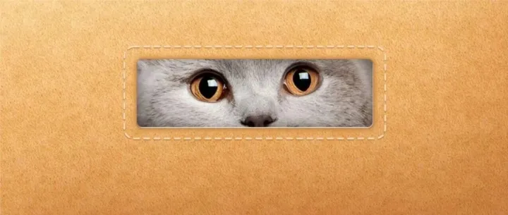 高转化Listing的流水线写作法：模板化操作，让你的转化率翻倍！