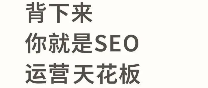 独立站SEO避坑指南：从0到1做流量，我只靠这7套组合拳