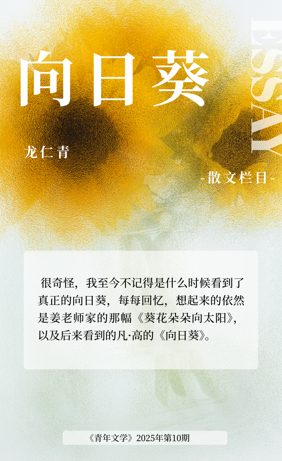 龙仁青:向日葵(散文) | 青年文学- 大数跨境