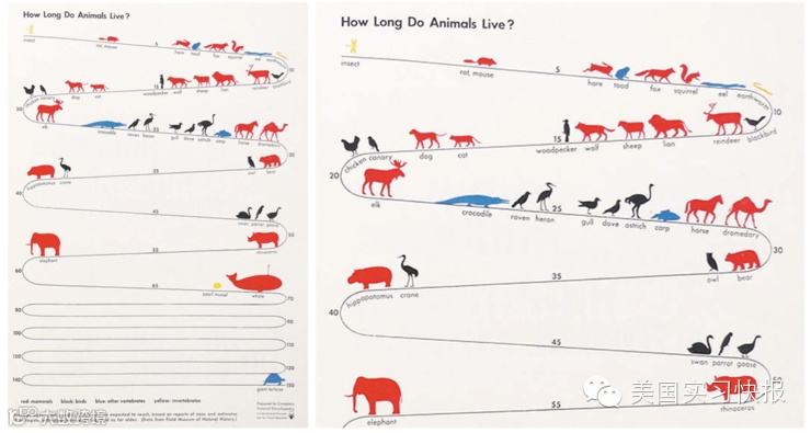 信息图是怎样设计的技巧