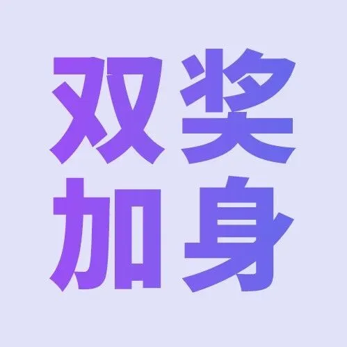 双奖加身！派安盈的实力，藏不住了！