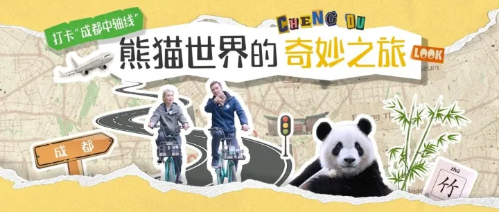 打卡“成都中轴线”｜熊猫世界的奇妙之旅
