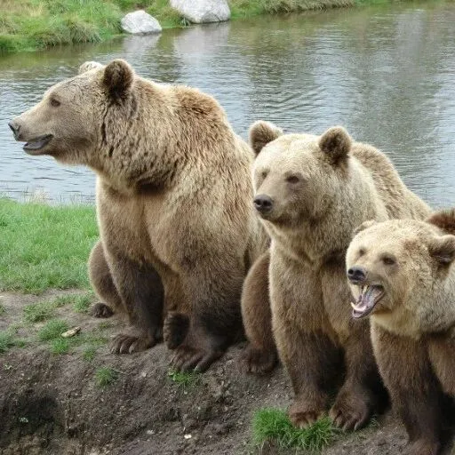 涉SDN清单人员交易，私募股权公司被美国财政部OFAC罚款1148万美元