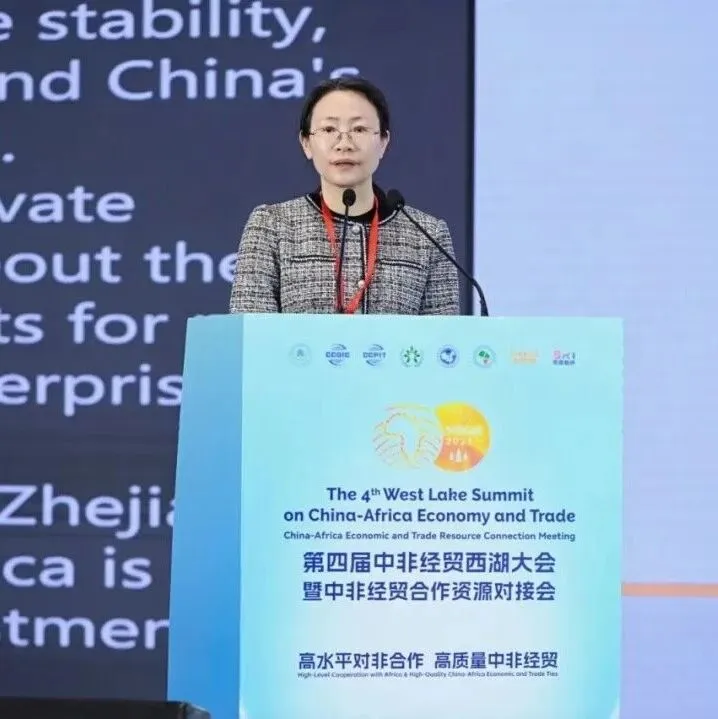 商务部研究院非洲研究中心主任毛小菁：中国出海非洲要避坑防雷