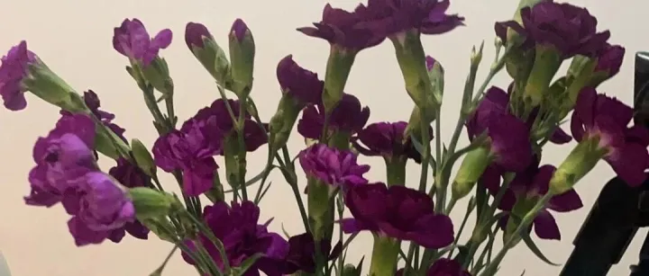 当你抱怨生活的时候，可能答案就在你身上