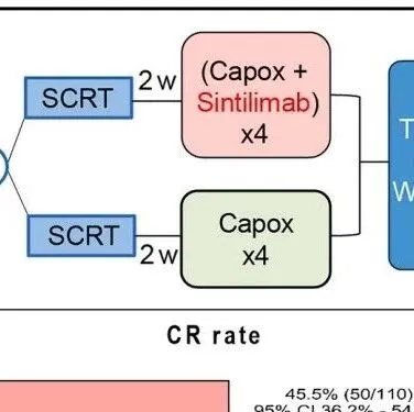 Med | 北京协和医学院团队报告了含或不含PD-1抑制剂的短链TNT治疗pMMR局部晚期癌症的临床结果
