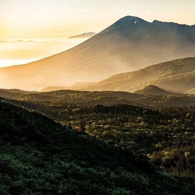 【政策资讯】从跟跑到领跑｜我国核能产业打开应用新图景