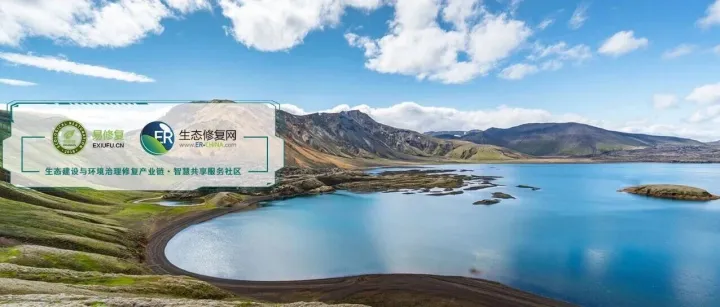 【专家视角】中南大学张宪｜微纳塑料通过扰乱L. rhamnosus葡萄糖代谢抑制胞外聚合物乳酸合成