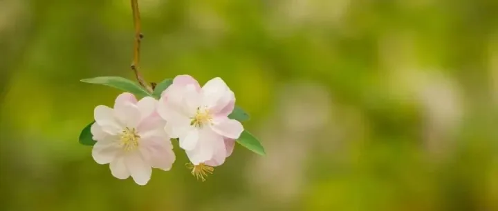 亚马逊陪跑<em>课程</em><em>学习</em>笔记3