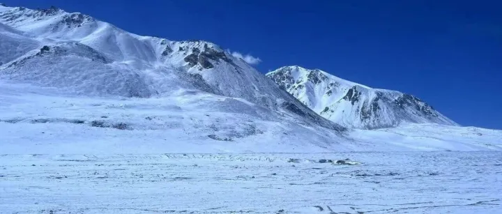 三季度收入66.6亿，叮咚买菜的“生鲜突围战”：在巨头夹击中，如何以差异化破局？