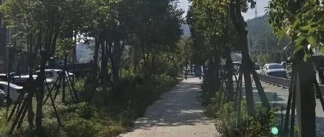 Ozon佣金查询秘籍：3秒搞定，不再稀里糊涂！