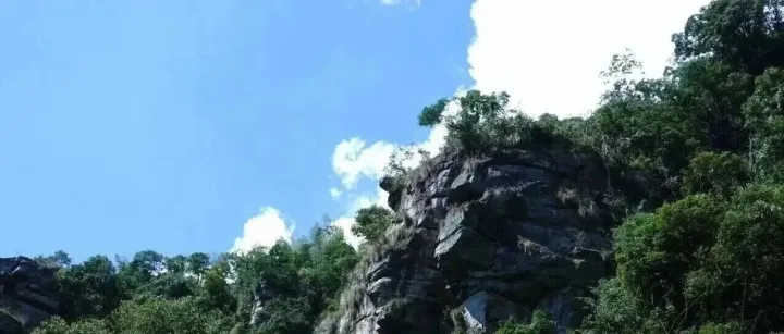 字节内部<em>流出</em>：不懂Agent的人，真的输麻了