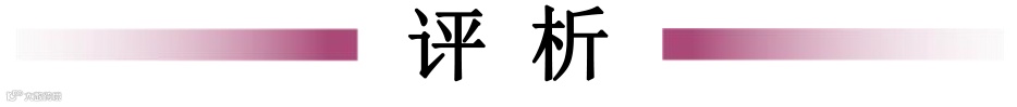 评析.png