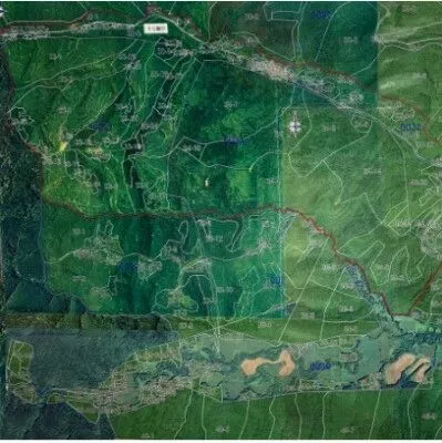 日本优质不动产投资推荐——北海道森林