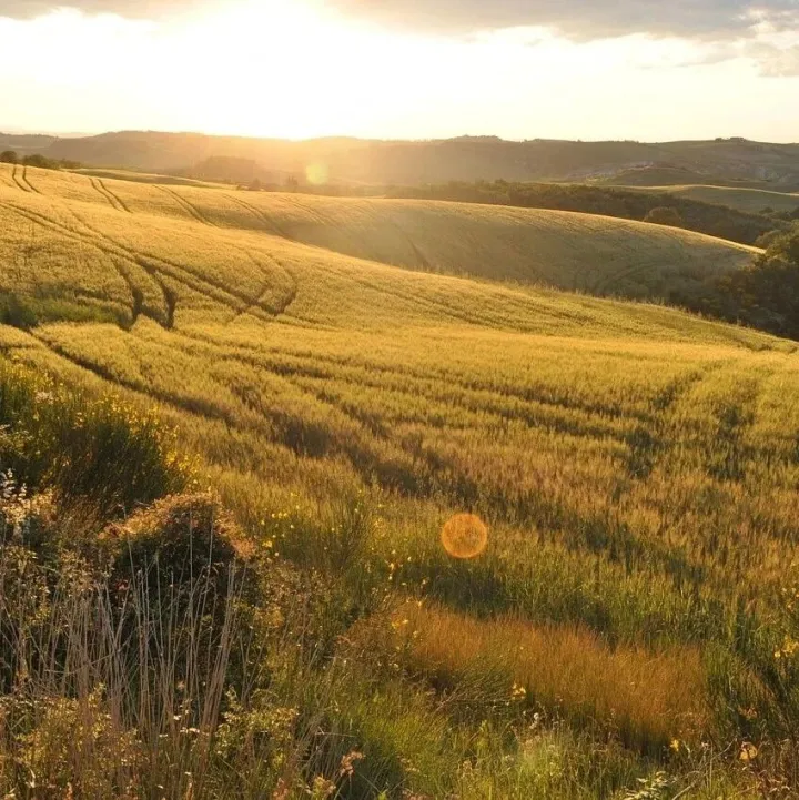 【政策资讯】“中华水塔”生态屏障，这样加固 ｜ 生态治理中的中国智慧