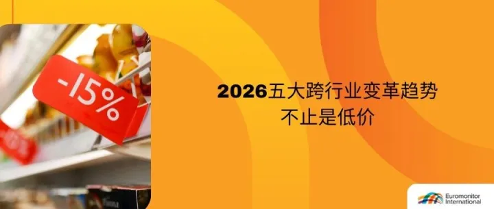 不打价格战，企业还能如何过冬
