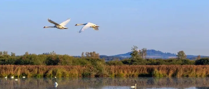 跨境电商无需在店铺公司纳税案例！三季度近2000万店铺公司同意迁出