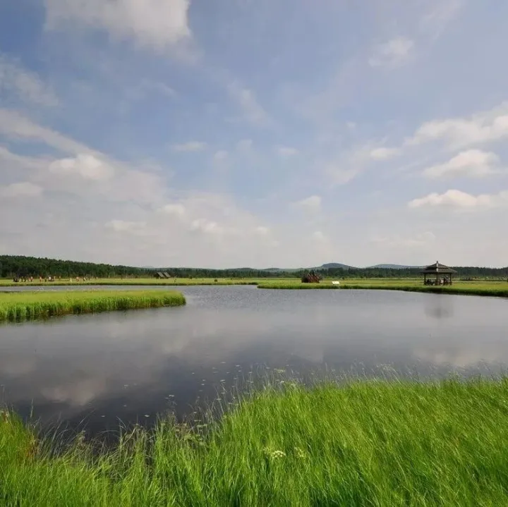 【技术交流】水环境｜生态浜塘对稻田退水污染物的净化效能及其配置规模分析