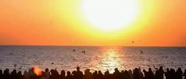 天津<em>有</em>海<em>吗</em>？天津的海<em>有</em>什么？