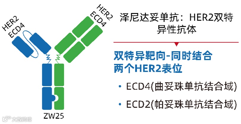 图片1(1)(1).png 图片1(1)(1).png