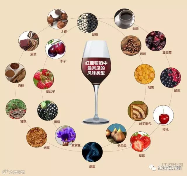 常见的葡萄酒术语知多少!