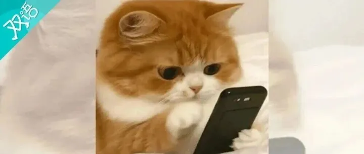 微信聊天反复出现“对方正在输入……”，说明对方在干什么？