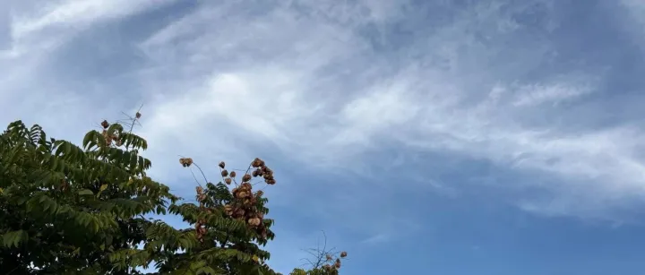 新品销量怎么预估？别再盯头部爆品了！