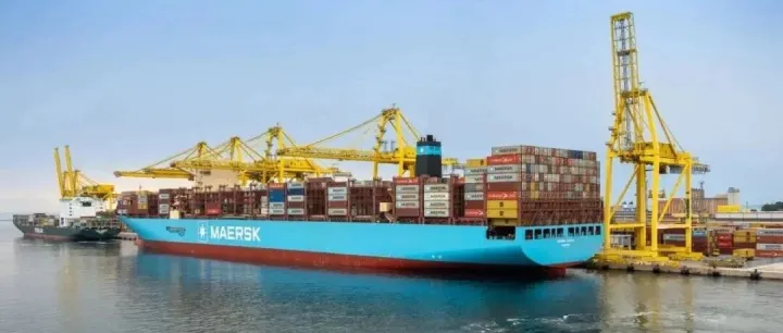 马士基被 “自己人” 告了？