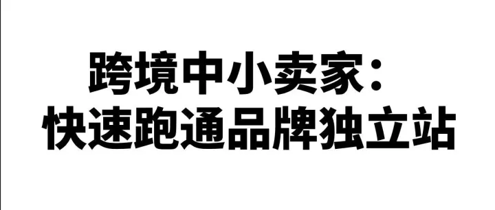 中小型卖家：如何低成本快速跑通一个品牌独立站
