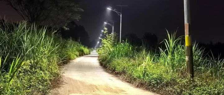 新会这条<em>村</em>，1.5<em>公里</em>，亮了！