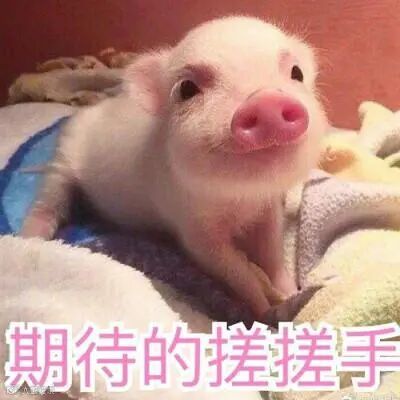 点击查看源网页