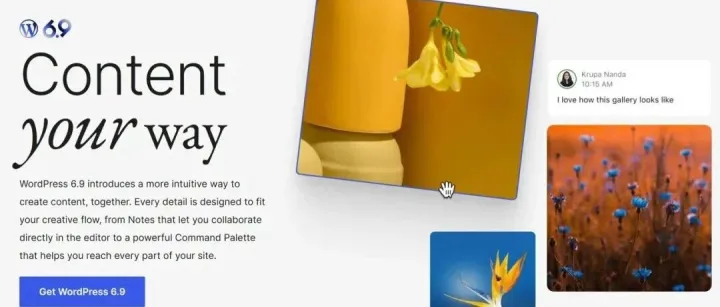 wordpress 6.9<em>更新</em>发布 代号为「Gene」（附<em>更新</em>失败<em>的</em><em>解决</em><em>方法</em>）