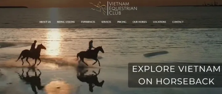 越南马术市场与主要马场深度分析报告