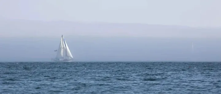 <em>出售</em><em>德国</em>子公司，25%收益不翼而飞