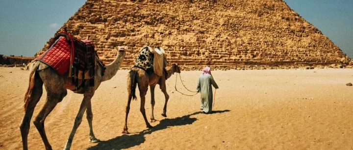 出海埃及：国际出海<em>短信</em><em>营销</em>与云通信市场洞察及服务选型全<em>指南</em>（2025 版）