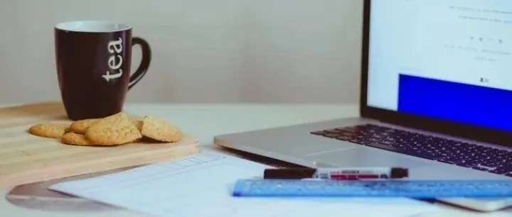 “You are a <em>dog</em> person.”可不是骂你，理解错误就尴尬了！