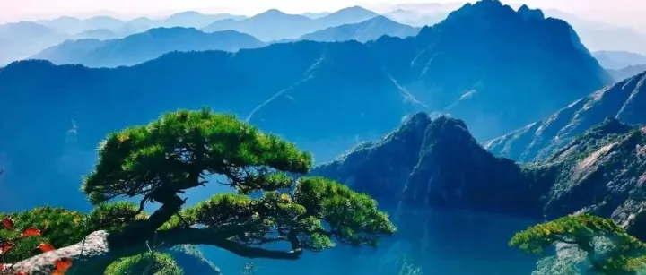 Day 305 向对手学习：我的高效竞品分析心法