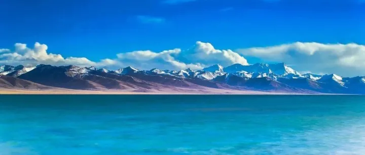 深圳12366回复9810模式下亚马逊代扣代缴值税问题